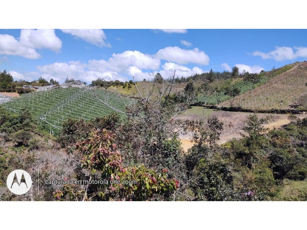 LOTE GUARNE VEREDA GUAPANTE PERFECTO PARA PARCELAR — foto 3