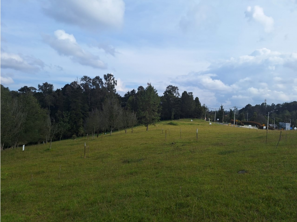 LOTES EN PARCELACION CAMPESTRE ENVIGADO ALTO DE LAS PALMAS — foto 4