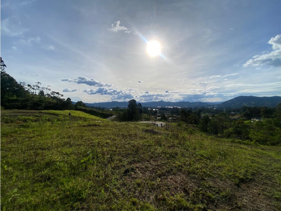 LOTE ORIENTE CON VISTA VIA SAN ANTONIO LA CEJA YARUMO PARCELACION — foto 3