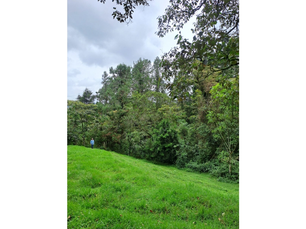 LOTE SANTA ELENA VEREDA SAN ISIDRO — foto 3