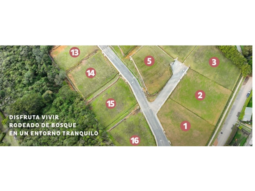 LOTE EN ENVIGADO ALTO DE LAS PALMAS CERCA AL MONTEMAYOR — foto 3