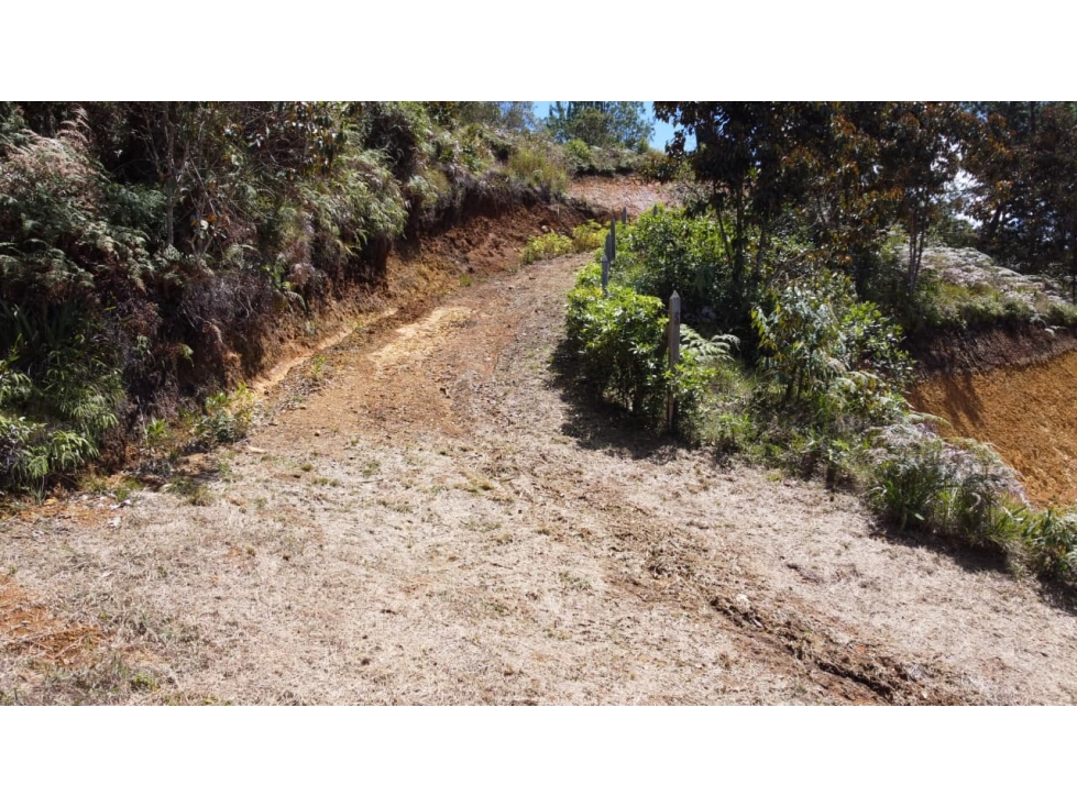 OPORTUNIDAD DE VIVIR RODEADO DE NATURALEZA EN PROINDIVISO GUARNE — foto 5