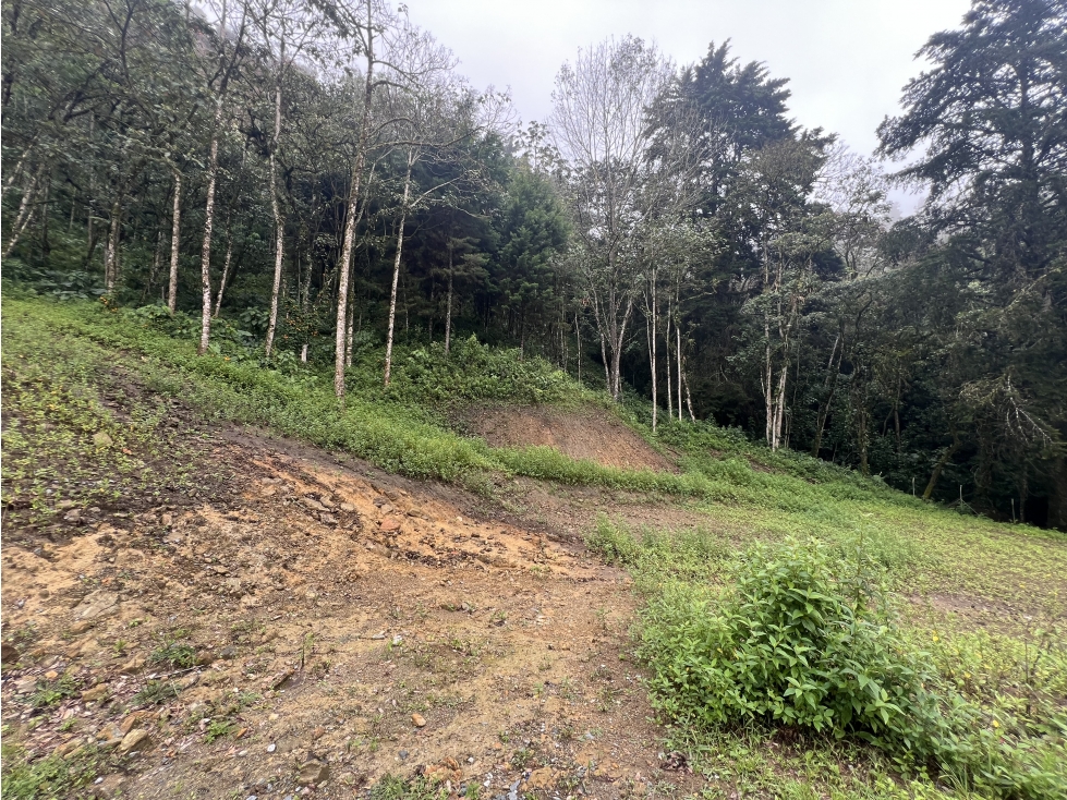CESION DE DERECHOS LOTE LAS PALMAS TRANSVERSAL DE LA MONTAÑA ENVIGADO — foto 3
