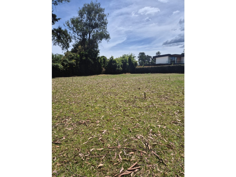HERMOSO LOTE PLANO EN LLANOGRANDE VEREDA LA AMALITA — foto 3