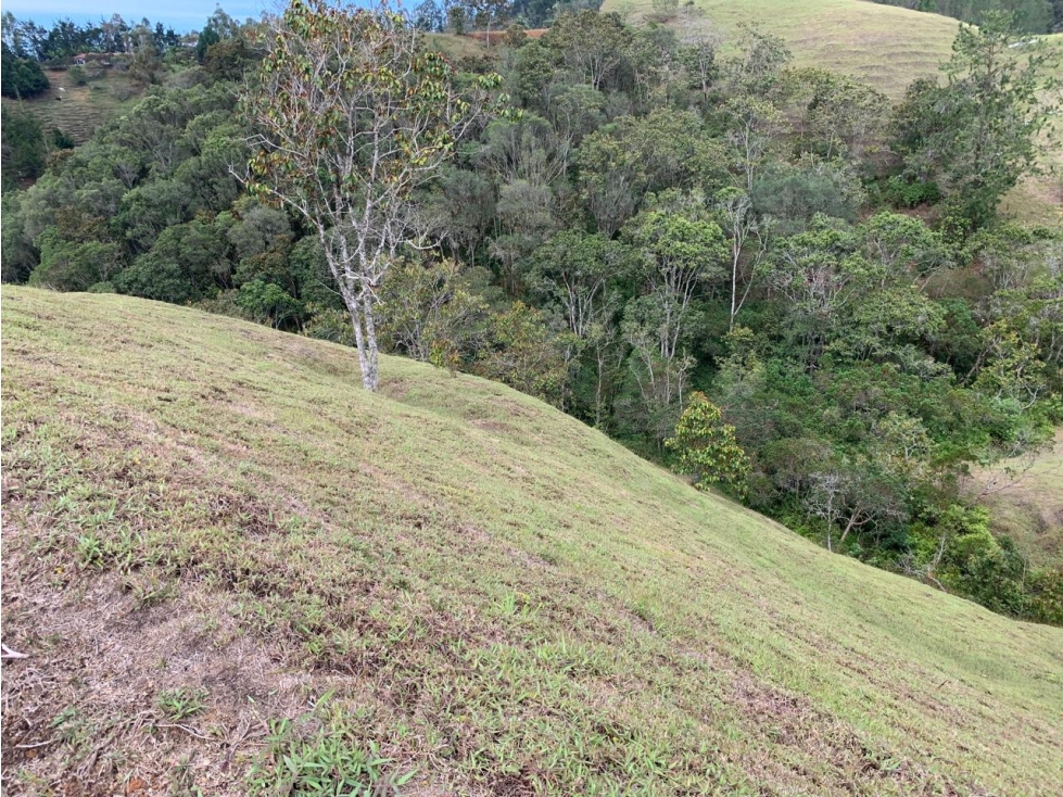 LOTE EL RETIRO VEREDA PANTANILLO EN PARCELACION — foto 3