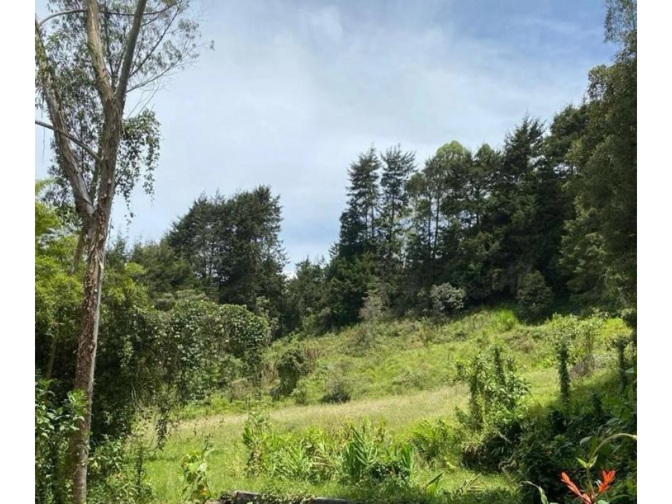 LOTE GUARNE AUTOPISTA MEDELLIN BOGOTA - 3