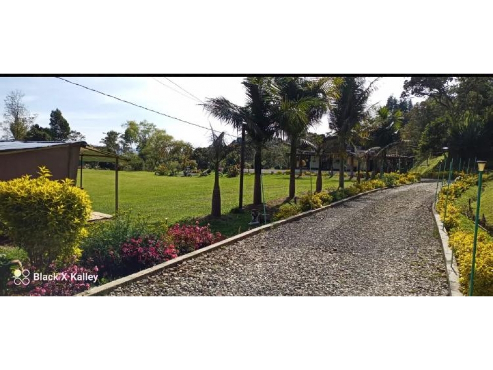 FINCA GUARNE VERDA ALTOS DE LA MEDINA - 3