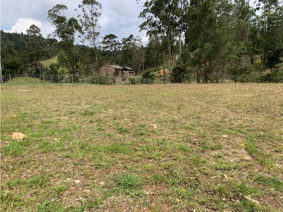 LOTE PLANO EN EL RETIRO VEREDA PANTANILLO TOTALMENTE APROVECHABLE — foto 3