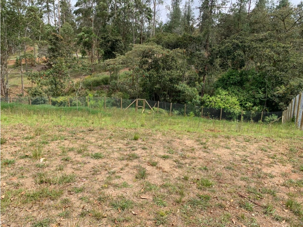 LOTE PLANO EN EL RETIRO VEREDA PANTANILLO TOTALMENTE APROVECHABLE — foto 5