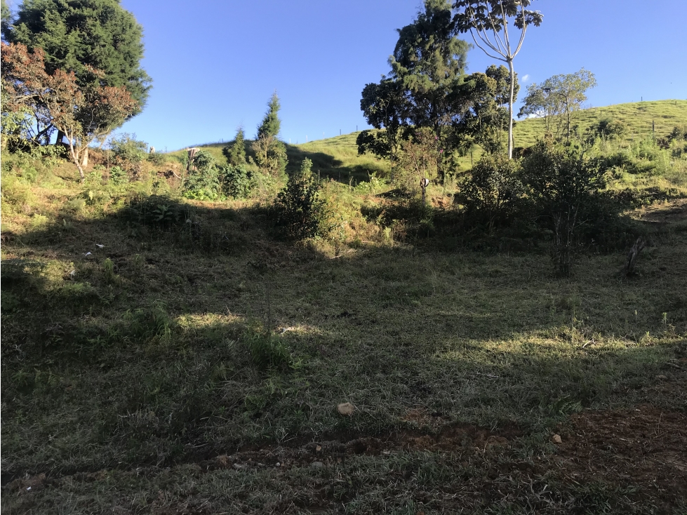 LOTE INDEPENDIENTE GUARNE VEREDA EL SANGO PARTE ALTA - 4