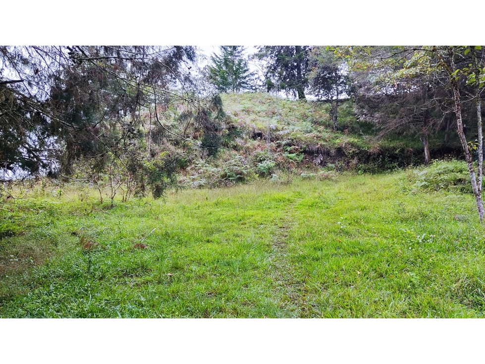 LOTE EN SANTUARIO VEREDA POTRERITO SE PUEDE SUBDIVIDIR EN 5 LOTES — foto 4