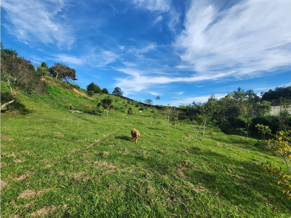 LOTE GUARNE VEREDA JUAN XXIII CON AGUA PROPIA — foto 4