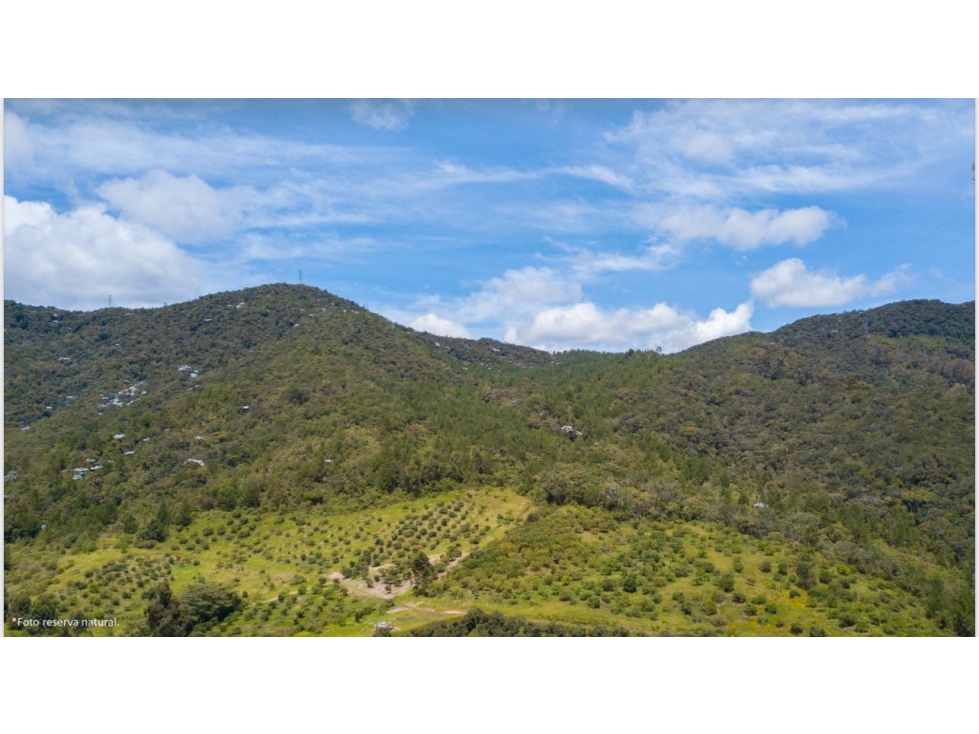 HERMOSO LOTE EN PARCELACION LA CEJA SECTOR EL YARUMO — foto 3