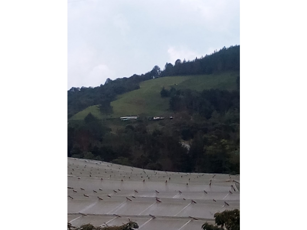 LOTE GUARNE VEREDA GUAPANTE PERFECTO PARA PARCELAR — foto 4