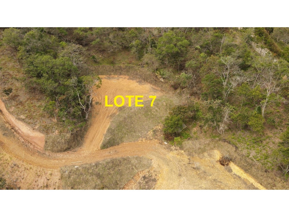 LOTES EN SAN VICENTE VEREDA CHAPARRAL A 12 KILOMETROS DE LA AUTOPISTA — foto 4