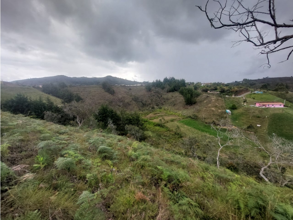 GRAN OPORTUNIDAD DE VIVIR RODEADO CAMPO GUARNE VEREDA LA ENEA — foto 4