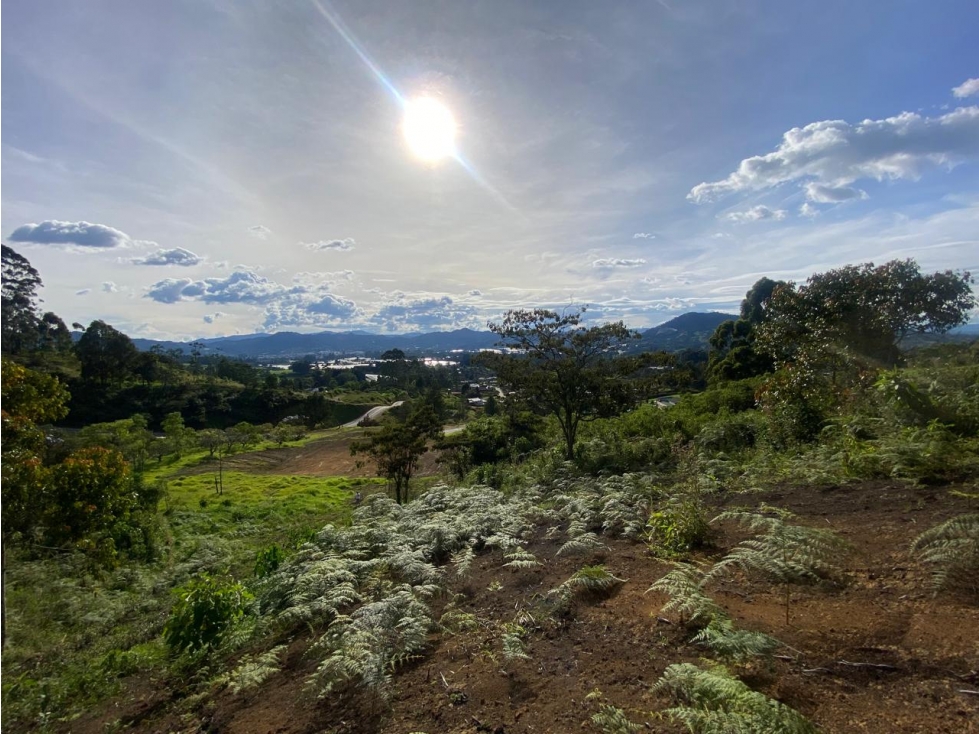 LOTE ORIENTE CON VISTA VIA SAN ANTONIO LA CEJA YARUMO PARCELACION — foto 4