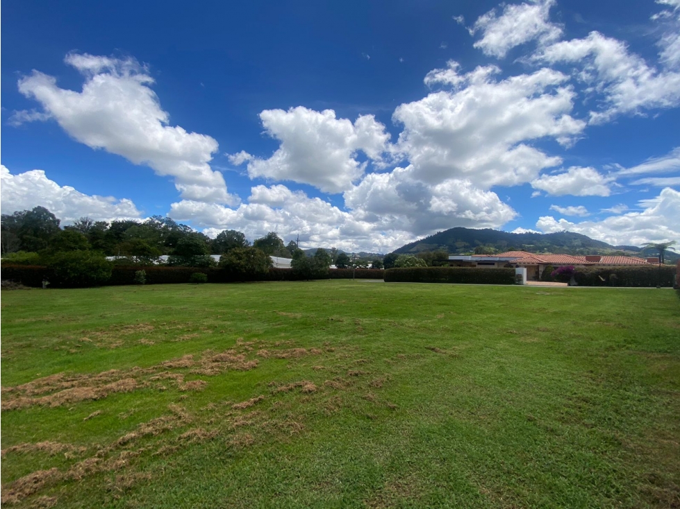 LOTE PLANO VÍA SAN ANTONIO LA CEJA PARCELACION SECTOR YARUMO — foto 4