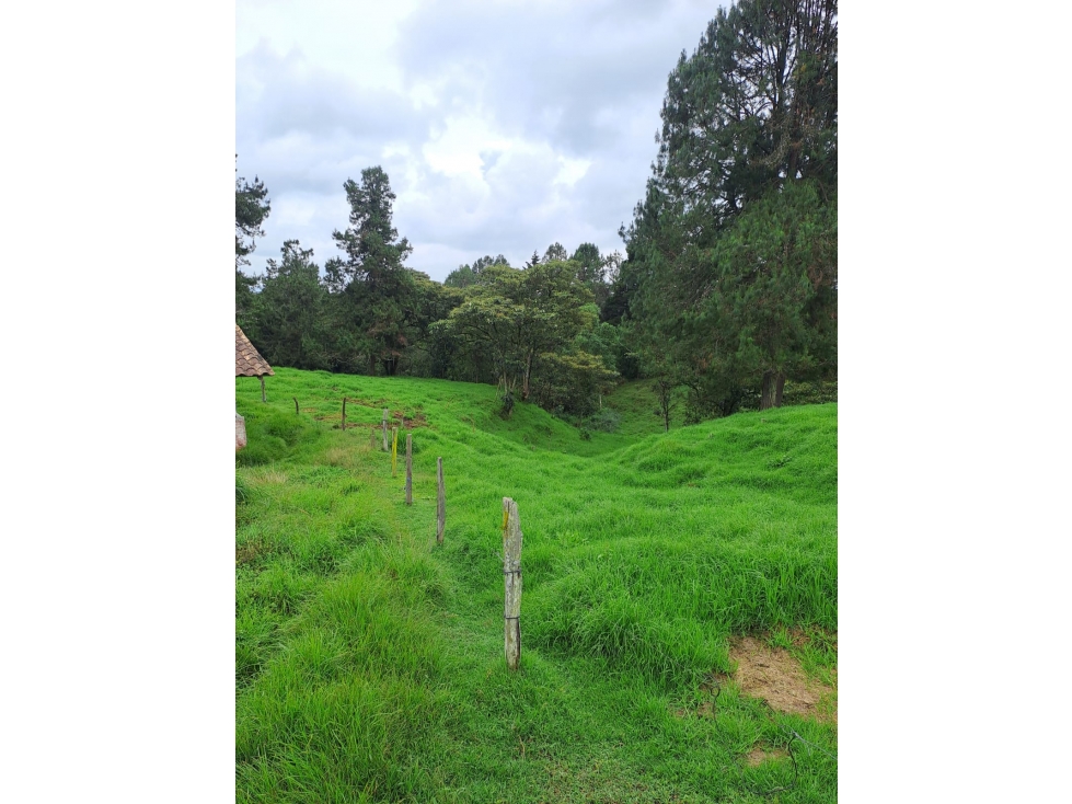LOTE SANTA ELENA VEREDA SAN ISIDRO — foto 4