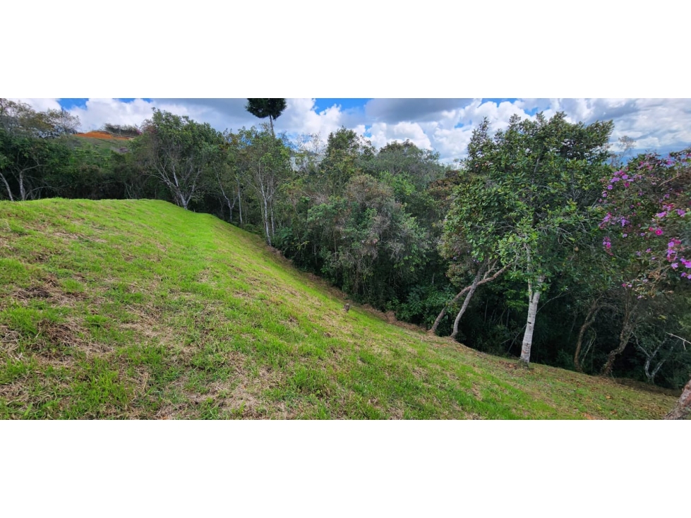 HERMOSO LOTE EN PARCELACIÓN EN GUARNE — foto 6