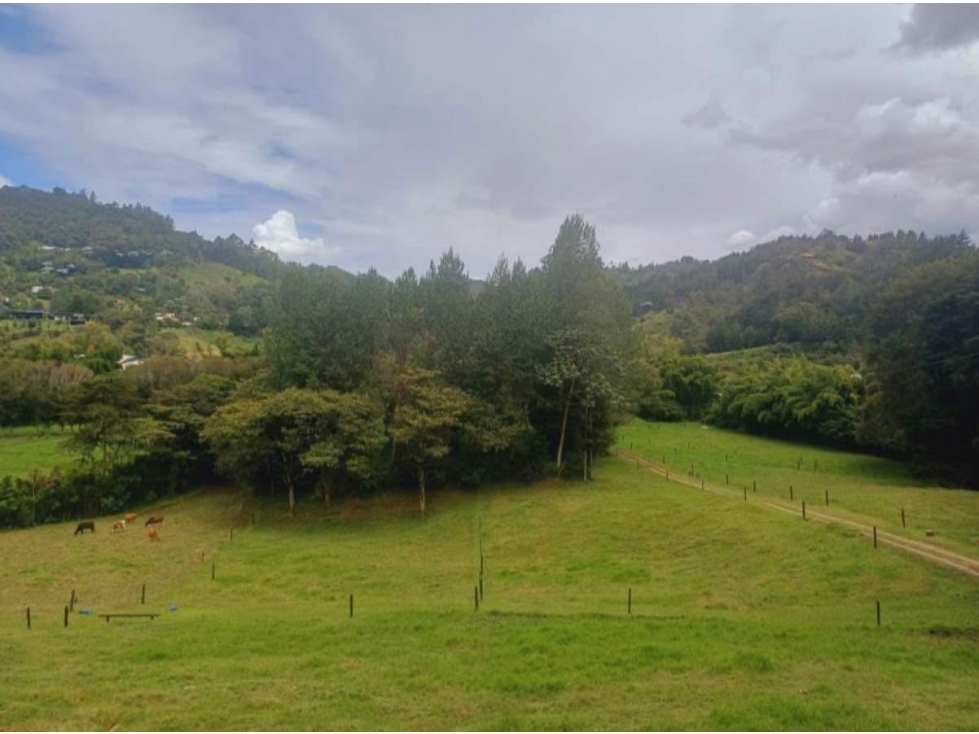 FINCA EN EL RETIRO VEREDA DON DIEGO