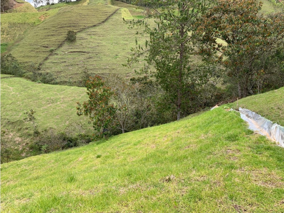 HERMOSOS LOTES EL RETIRO PANTANILLO A 1.5 KILOMETROS DE LA PRINCIPAL — foto 4