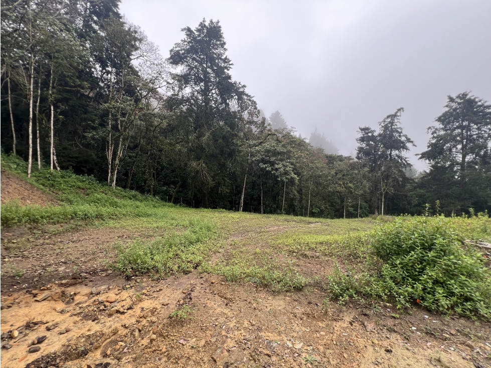 CESION DE DERECHOS LOTE LAS PALMAS TRANSVERSAL DE LA MONTAÑA ENVIGADO — foto 4