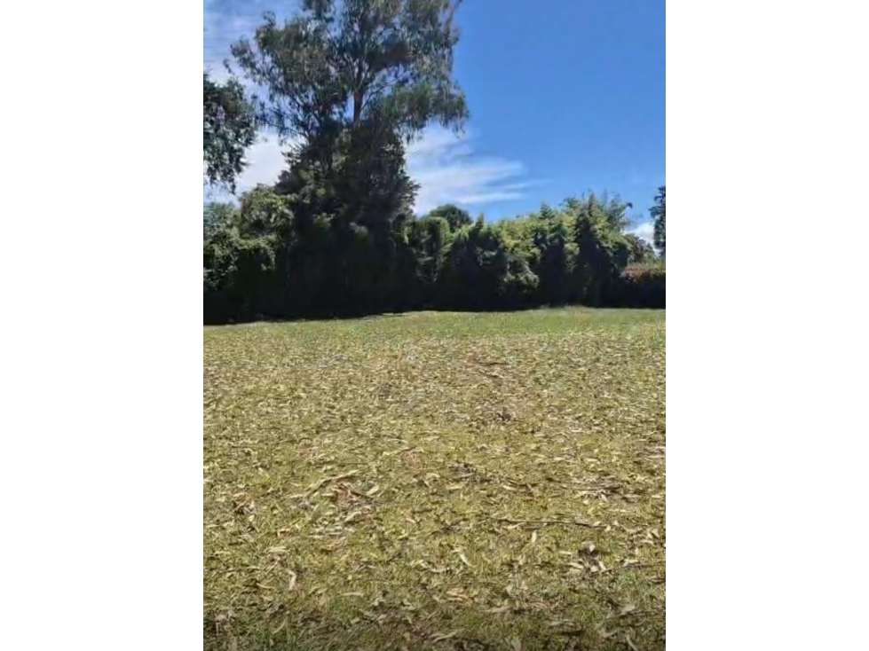 HERMOSO LOTE PLANO EN LLANOGRANDE VEREDA LA AMALITA — foto 4