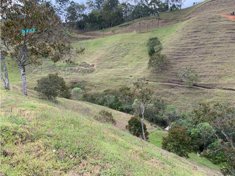 LOTE EL RETIRO VEREDA PANTANILLO EN PARCELACION — foto 4