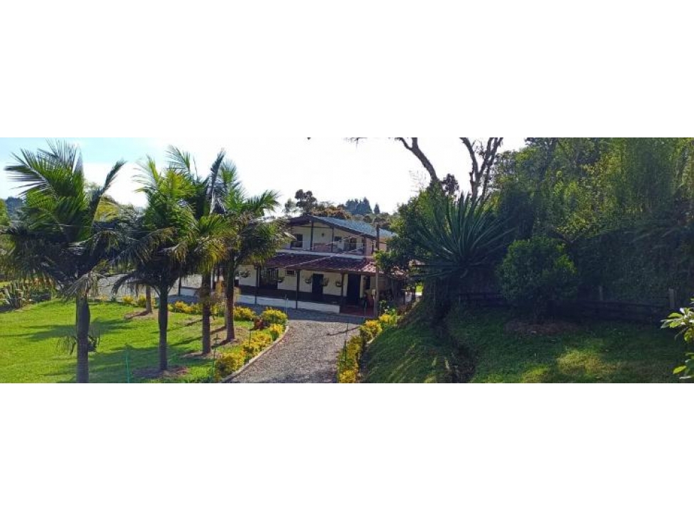 FINCA GUARNE VERDA ALTOS DE LA MEDINA - 4