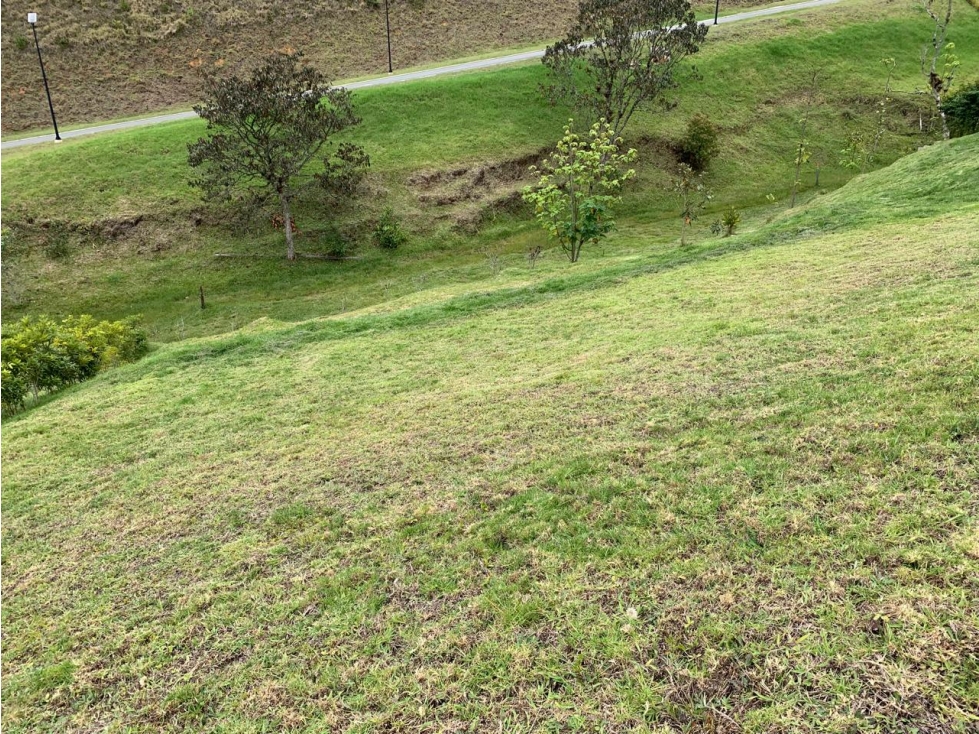 LOTE EL RETIRO VEREDA PANTANILLO EN PARCELACION — foto 6