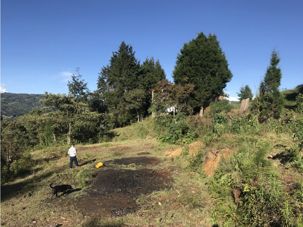 LOTE INDEPENDIENTE GUARNE VEREDA EL SANGO PARTE ALTA - 5