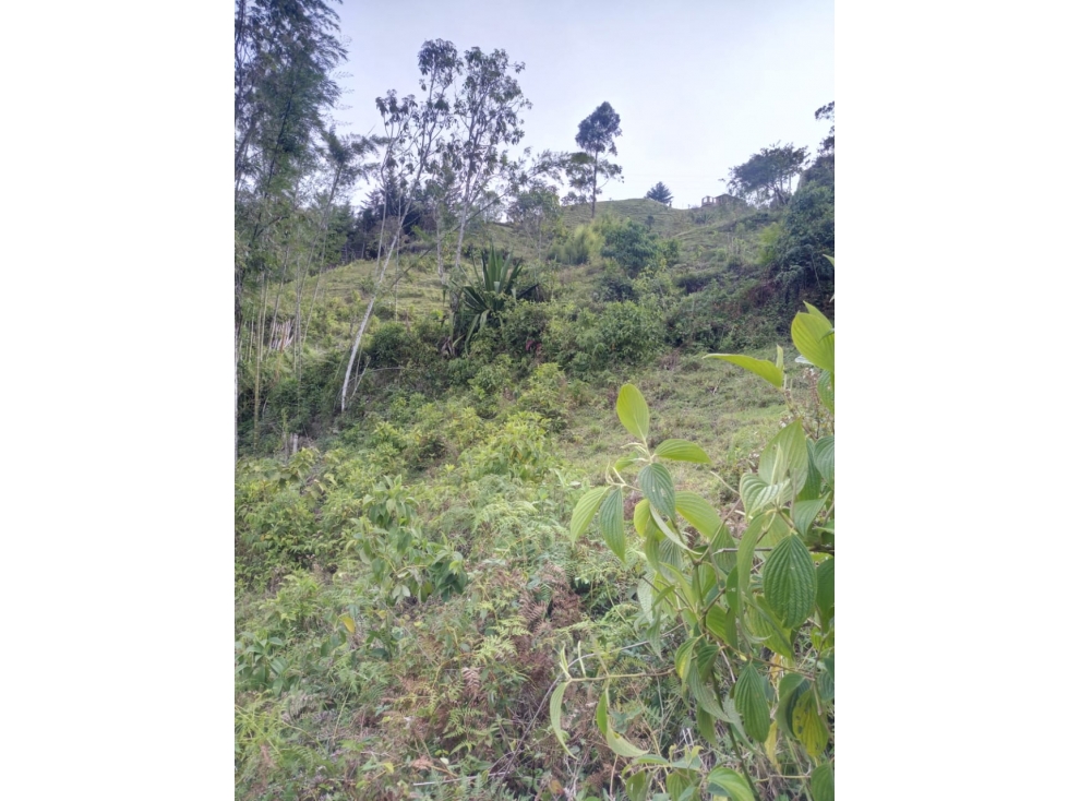 HERMOSO LOTE SAN VICENTE VEREDA LA ENEA — foto 5