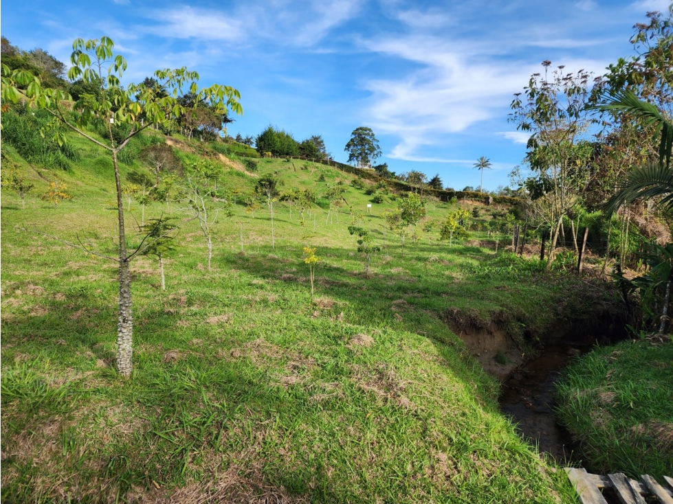 LOTE GUARNE VEREDA JUAN XXIII CON AGUA PROPIA — foto 5
