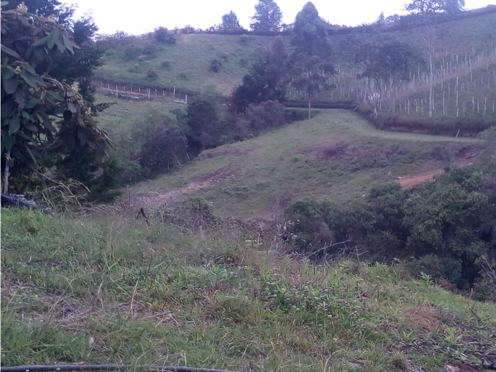 LOTE GUARNE VEREDA GUAPANTE PERFECTO PARA PARCELAR — foto 5