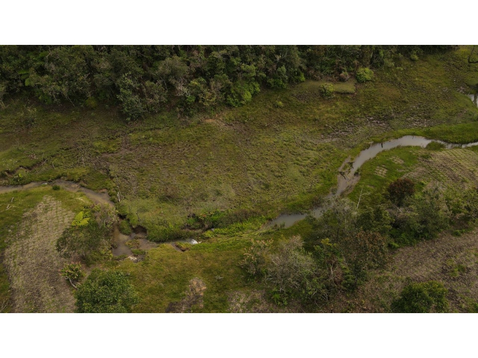 LOTES EN SAN VICENTE VEREDA CHAPARRAL A 12 KILOMETROS DE LA AUTOPISTA — foto 5