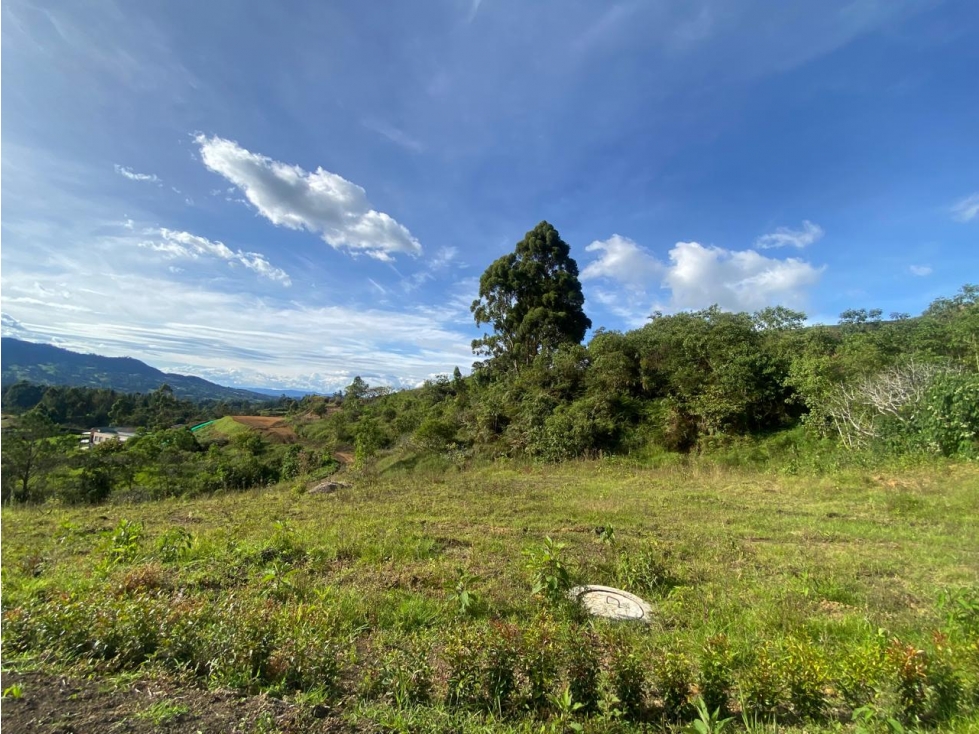 LOTE ORIENTE CON VISTA VIA SAN ANTONIO LA CEJA YARUMO PARCELACION — foto 5