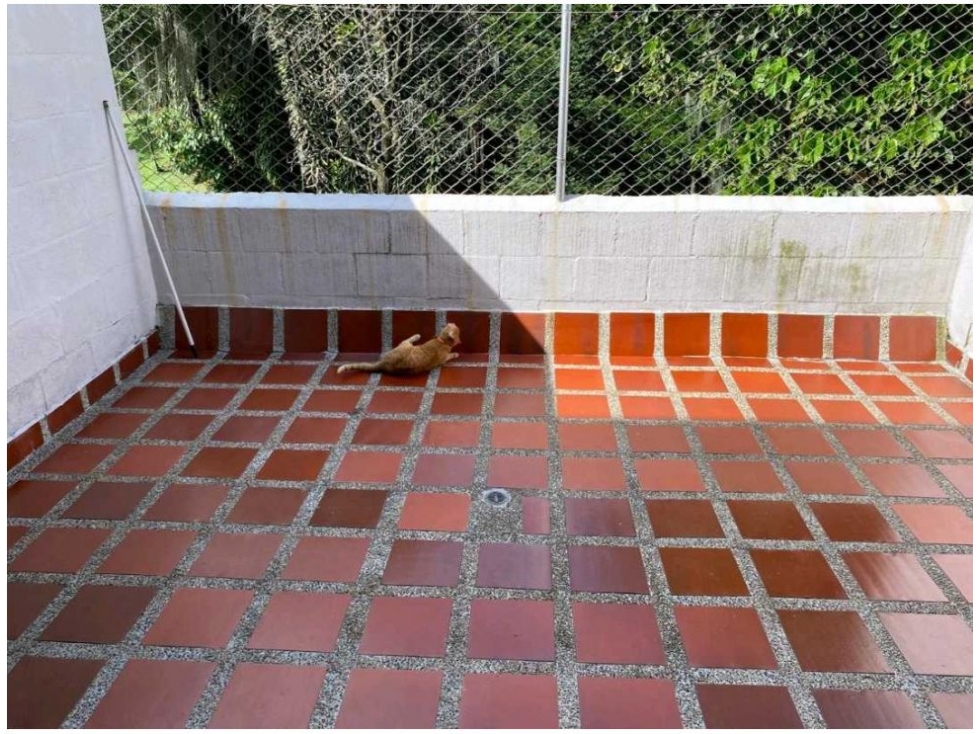 CASA 3 NIVELES EN UNIDAD CERRADA LA ESTRELLA CERCA AL MALL SURAMERICA — foto 5