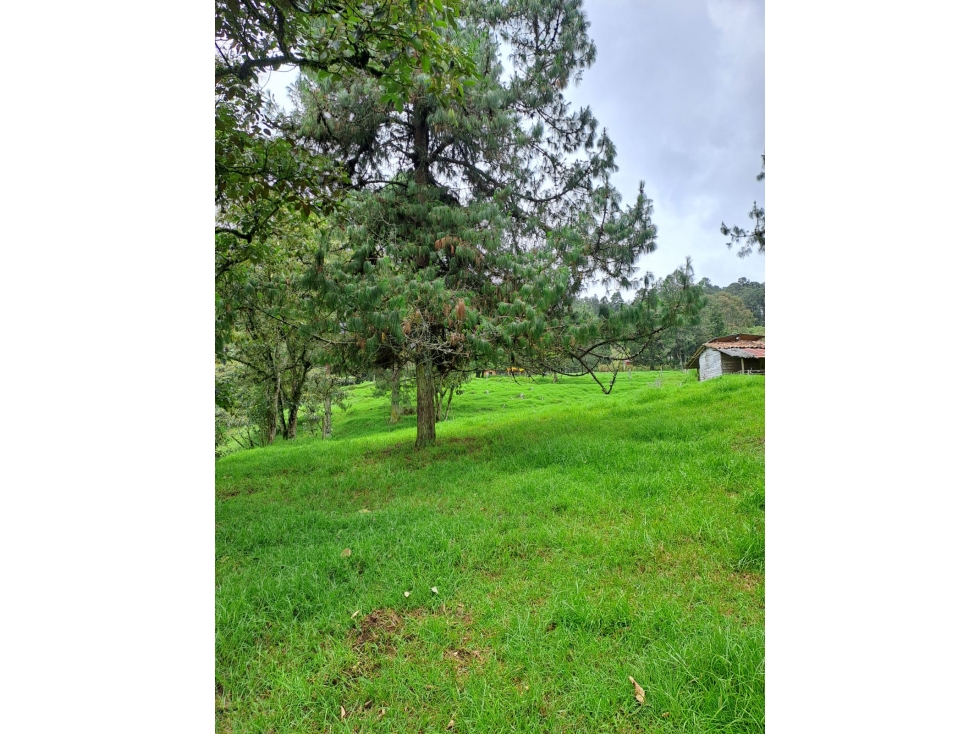 LOTE SANTA ELENA VEREDA SAN ISIDRO — foto 5