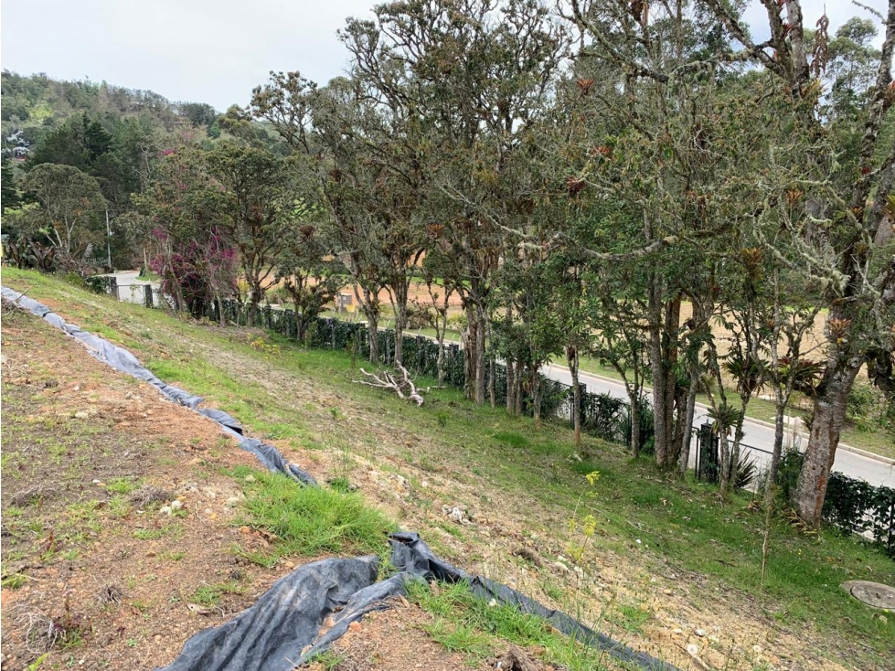 HERMOSOS LOTES EL RETIRO PANTANILLO A 1.5 KILOMETROS DE LA PRINCIPAL — foto 5
