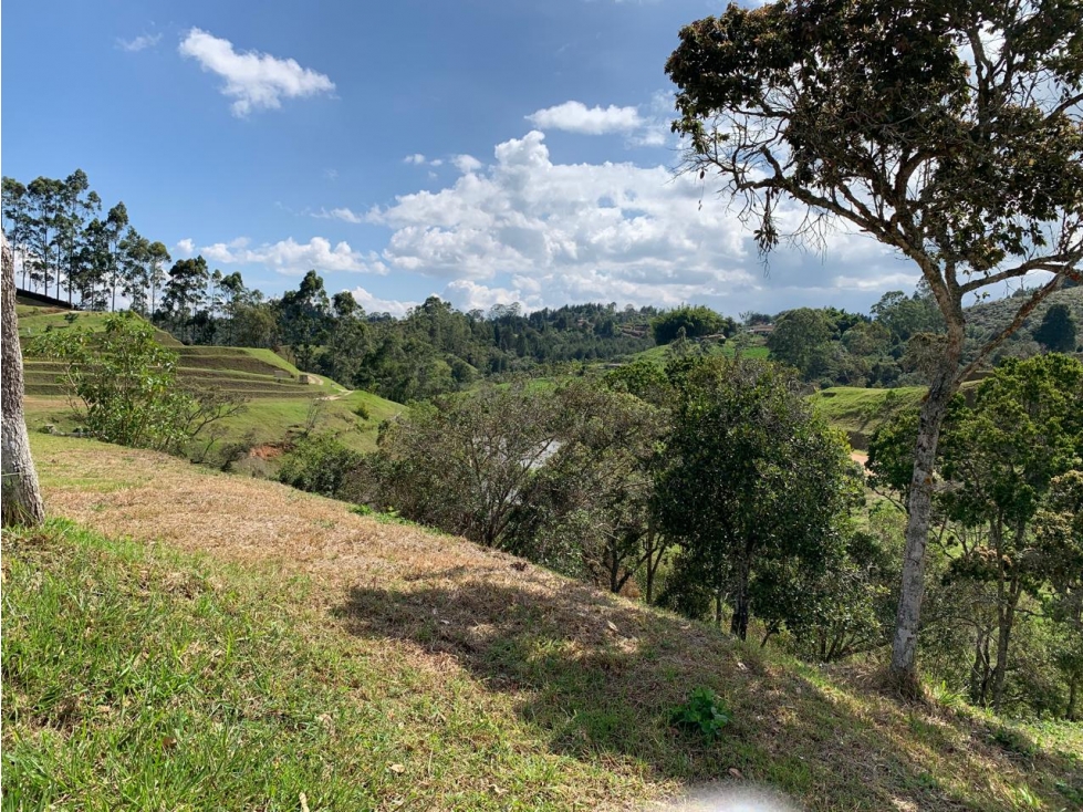 LOTE EN RIONEGRO VEREDA MAMPUESTO ENTRANDO POR LA MOSQUITA