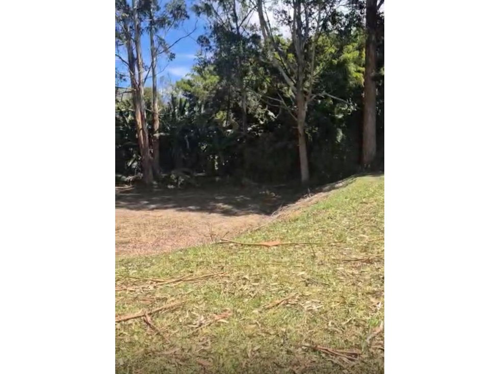 HERMOSO LOTE PLANO EN LLANOGRANDE VEREDA LA AMALITA — foto 5