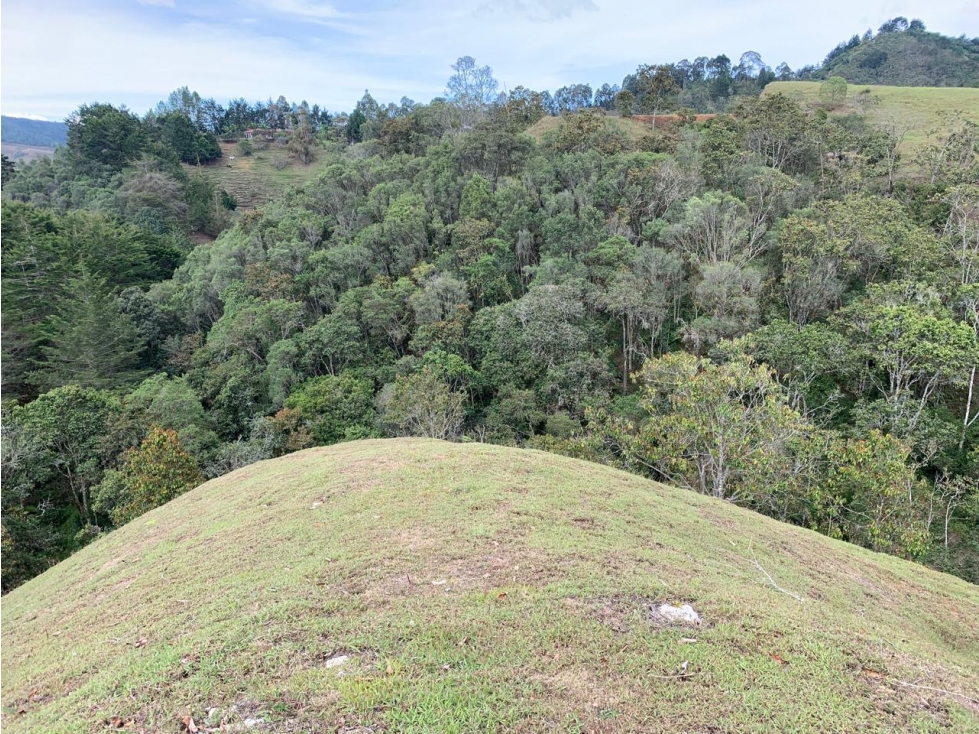 LOTE EL RETIRO VEREDA PANTANILLO EN PARCELACION — foto 5