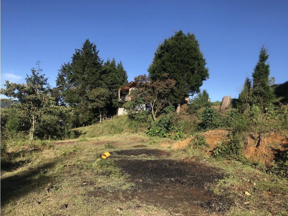 LOTE INDEPENDIENTE GUARNE VEREDA EL SANGO PARTE ALTA - 6