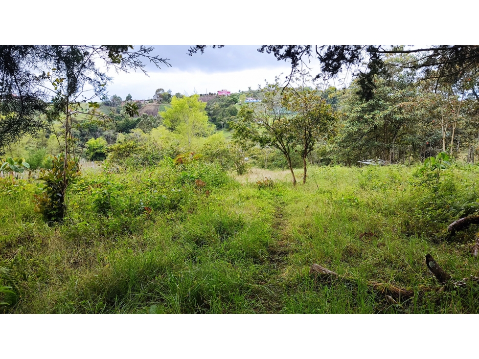 LOTE EN SANTUARIO VEREDA POTRERITO SE PUEDE SUBDIVIDIR EN 5 LOTES — foto 6