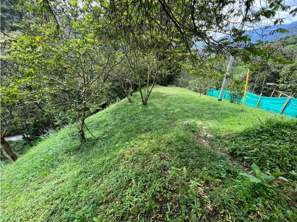 EXCELENTE LOTE ENVIGADO VIA LA CATEDRAL PARTE BAJA - 6