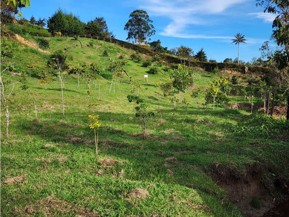 LOTE GUARNE VEREDA JUAN XXIII CON AGUA PROPIA — foto 6