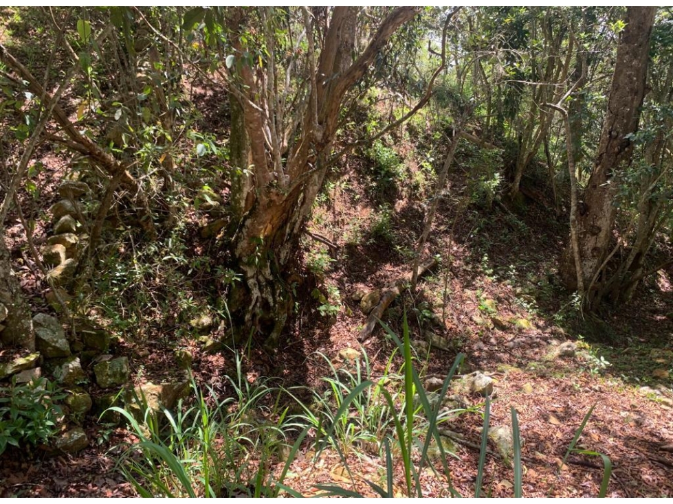 LOTE UBICADO EN ZONA EXCLUSIVA DE BARICHARA - 6