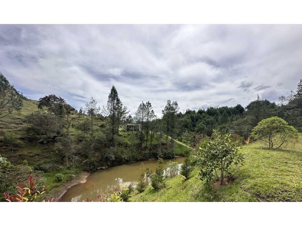 HERMOSO LOTE EN PARCELACION DON DIEGO VIA LA CEJA — foto 6