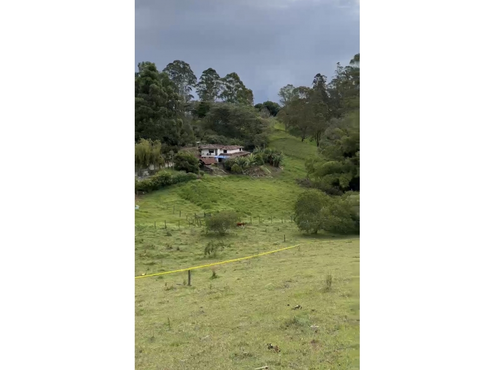 LOTE INDEPENDIENTE RIONEGRO VEREDA OJO DE AGUA